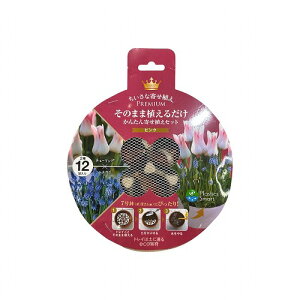  7ɂ҂ ̂܂ܐA邾@PREMIUM 2~bNX sN `[bv×XJ