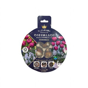  7ɂ҂ ̂܂ܐA邾@PREMIUM 2~bNX p[v `[bv×vVLjA