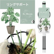 支柱　第一ビニール DAIM リングサポート φ10～15 × H40cm　観葉植物 葉垂れ防止 3段まで連結可能 カー…