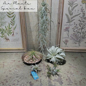 ϗtA@GAvc XyV{bNX! lCi5+AeB[NgC(̂܂1Zbg)@CeAO[ | IV JCC 