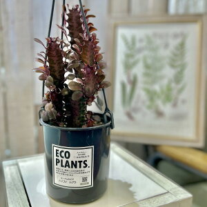 yz[tHrA gSi u 4݂蔫(ꌊ)(̂܂1)@CeAO[ |   킢