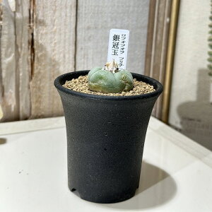 A@tHtH t`[ ⊥ 2.5(i)@CeAO[ |   킢