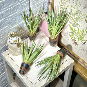 ϗtA@TXxA(TZxA) tVV[  1(̂܂1)@CeAO[ |   킢