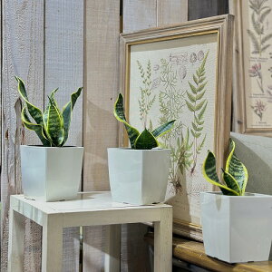 A@TZxA(TXxA) cCX^[ 4(̂܂1)@CeAO[ |   킢