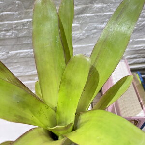 ^NuA@lIQA }u 3dO|bg(i)@CeAO[ |   킢