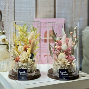 v[g@Mtg@RNOXAeB[Nt[AW@ ̓ a 蕨