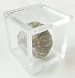 仐响@yꗱEP[Xz@H|@v`MtgAoɂ