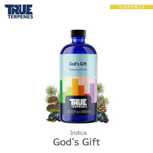 _^ ey AJ TRUE TERPENES wNVbNV[Y -God's Gift-x1ml CfBJ t[o[  Lbh J[gbW VRey USAY xCv VAPE dq^oR I[KjbN