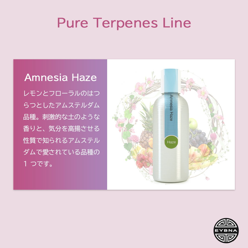 楽天市場】EYBNA 『Pure Terpenes Line -Amnesia Haze-』1ml 5ml 10ml