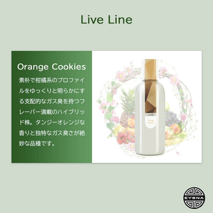 楽天市場】テルペン イスラエル EYBNA 『Liveシリーズ -Orange Cookies 