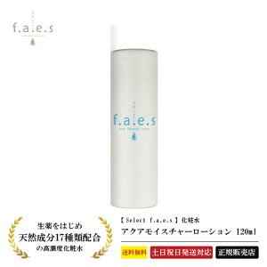 yŋzz hN^[ZNg tFCX ANACX`[[V120ml ϐ qA_ R[Q vZ^ [[[ XLPA Ags[ pxt[ Y