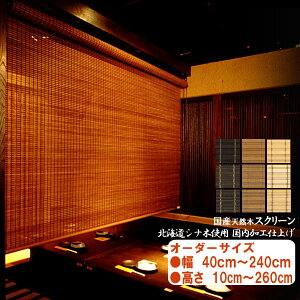 YVR؃XN[@I[_[TCY@@hH\ kCYVi؎gp@40`240cm@10`260cm@[AbvA`F[I\@[XN[@a@AWA