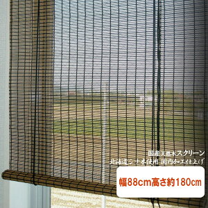 hEhJr@YVR؃XN[@88cm180cm TCY RT-003@EbhXN[@kCYVi؎gp@[Abv(V^Cv)@[XN[@a@AWA@a@