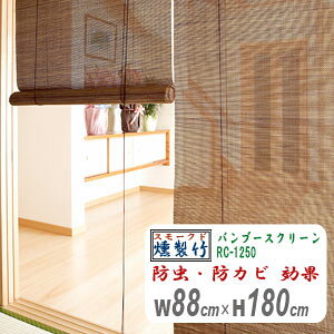 �����|�@�X���[�N�h�o���u�[�X�N���[���@RC-1250�@��88cm����180cm�@ HAYATON ���[���A�b�v�@������@�|���[���X�N���[��
