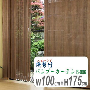 |X[Nhou[J[eb-906100cm175cm@|[XN[@@ډB@Ԏd؂