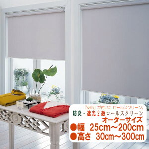 Ռ2 h@[XN[@I[_[TCY@@@􂢉\@@25cm`200cm30cm`300c@h}[Nt@eVo[IvV@˂_@ς