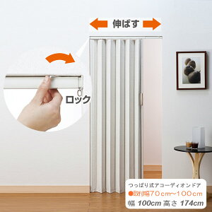 ς莮@AR[fBIhA@100cm174cm@KiTCY AR[fBIJ[e@ډB@Ԏd؂@ @plhA