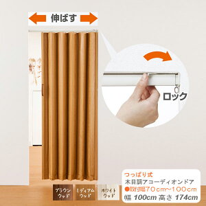ς莮@ؖڒAR[fBIhA@100cm174cm@KiTCY AR[fBIJ[e@ډB@Ԏd؂@ @plhA