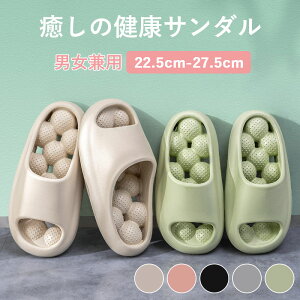 NT_ fB[X Y jp T_ Xbp  }bT[W   [V[Y V[T_ C EVA h y K 􂦂 ɂ 