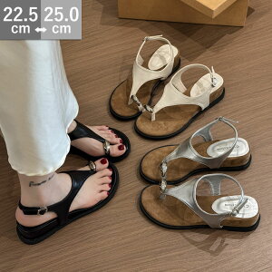 T_ fB[X r[`T_ r[T n[g 킢  gOT_ tbg\[ tbgT_ x_T_ K[fjO Vv r[` ^n[g