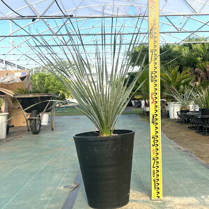 _VI OERtB c ϗtA j Vzj JXj V{c[ LO hCK[f bNK[f