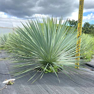  Xg[^ bJEXg[^ u[X ϗtA j Vzj JXj V{c[ LO hCK[f bNK[f