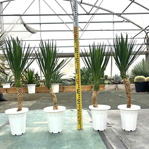 ACtHA bJEACtHA ϗtA j Vzj JXj V{c[ LO ϊ hCK[f