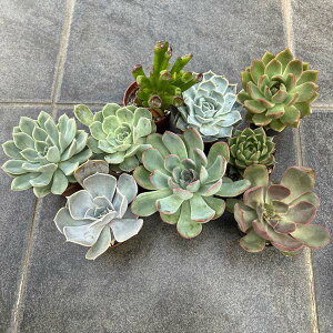 y CA\[g3Zbg A c NbX Z_ GPxA 