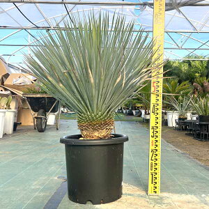 u[X Xg[^ bJEXg[^ ϗtA j Vzj JXj V{c[ LO hCK[f bNK[f