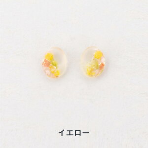 yz \邾sAXPiPPi t[ N fB[X I[V[Y S3F V[g AM[Ή hy2-314