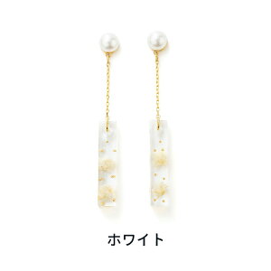 yz \邾sAXPiPPi ~U n[oE fB[X I[V[Y zCg/CG[ O AM[Ή hy2-503