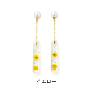 yz \邾sAXPiPPi ~U n[oE fB[X I[V[Y zCg/CG[ O AM[Ή hy2-503