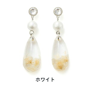 yz \邾sAXPiPPi ~U hbv fB[X I[V[Y zCg/CG[ O AM[Ή hy2-507