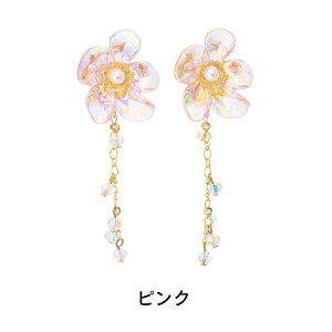 yz \邾sAXPiPPi  NA t[ fB[X I[V[Y S3F O AM[Ή hy2-554