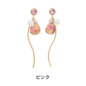 yz \邾sAXPiPPi  r EF[u C[  I[V[Y S4F O HY2-558