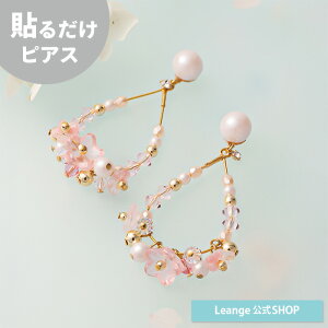 yz \邾sAXPiPPi 炶  hbv t[v `F[ubT sN S[h O sAX fB[X tR[f AM[Ή HY2-685