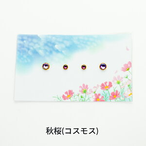 yz \邾sAXPiPPi yHJ[z A\[g 4_Zbg  H S3F V[g r-at-pi-01