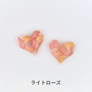 yz \邾sAXPiPPi |Cg Ƃ߂ sN n[g fB[X I[V[Y Cg[Y/[Y V[g AM[Ή ai-21