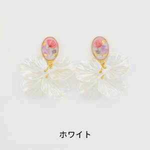 yz \邾sAXPiPPi hCt[ pXe fB[X I[V[Y S3F O AM[Ή hy2-308