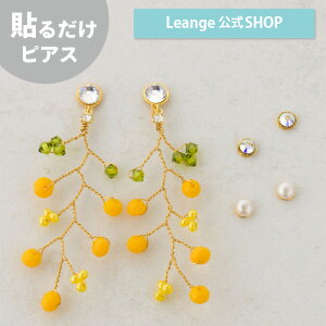 yz \邾sAXPiPPi ~U Zbg fB[X I[V[Y S[h O AM[Ή box-19