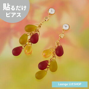 yz \邾sAXPiPPi Ԃǂ  ʎ I[`[h hbv r[Y H S[h sAX fB[X AM[Ή HY2-807