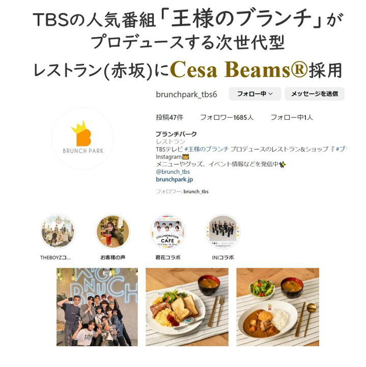 楽天市場】ランキング1位 cesa beams さらに2点目最大50%オフクーポン 