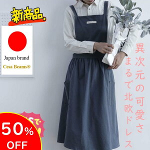 CesaBeams ő20ItN[|@Gv  JtFGv O 킢 fB[X hX^Cv@k@O | fB[X t[TCY@v[g ̓ Rb