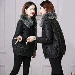 _EWPbg fB[X V[g ~ AE^[ t@[t_ER[g V[g 傫TCY 3L 4L 5L   tFCNt@[ Vv  ~ H~