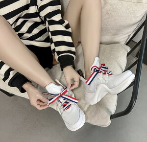 Cq[Xj[J[  Xj[J[ fB[X  V[Y ؍ _bhXj[J[ J[{ vbgtH[ nCeNXj[J[ {[\[   JW