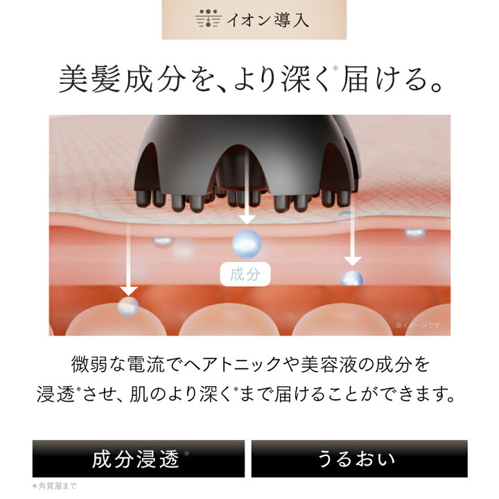 楽天市場】【公式｜母の日早割！クーポン利用で19,800円＋P10倍 