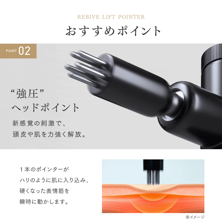 Revive Face 美顔器 楽天市場】【予約販売限定 10％OFFクーポン！】フェイスポイント