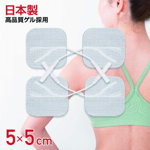 y{iQV[g̗pzSpbhip^5x5cmjegEEMS@py[֑Ήz