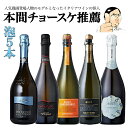 本間チョースケ厳選【スパークリングワイン5本セット】イタリア政府公認ソムリエと本間チョースケ推薦5本セット 人気ワイン スパークリングワイン 泡 辛口 金賞ワイン多数 EPA マリアージュ ワインセット