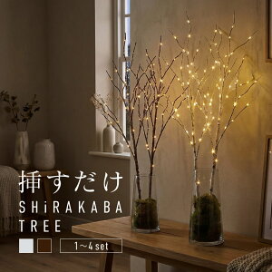 u`c[  led  NX}Xc[ k  zCg uE dr 86cm k[hc[ Xc[ }c[ C~l[V LEDCg ԐڏƖ CeA